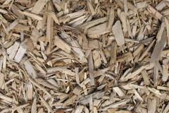 biomass boilers Llandefaelog Trer Graig